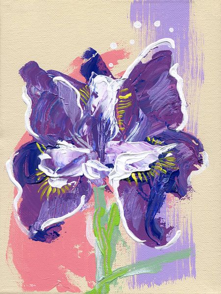 Siberische iris, FreeStyle van ART Eva Maria