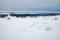 View over the lake from the Riisitunturi NP by Martijn Smeets thumbnail