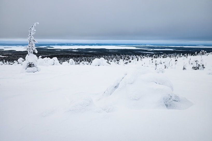 View over the lake from the Riisitunturi NP by Martijn Smeets
