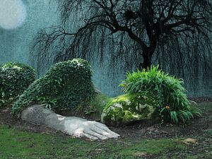 Natur besitzergreifend - H. Fischer