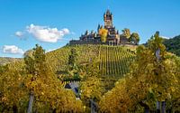 Cochem, Mosel, Deutschland von Alexander Ludwig Miniaturansicht