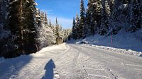 Snow Norway