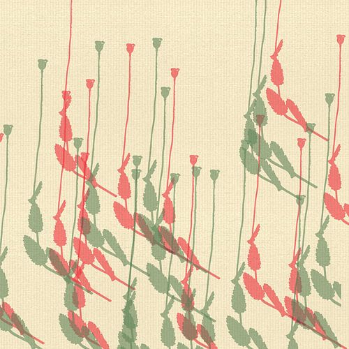 Moderne abstracte botanische kunst met klaprozen op gebroken wit