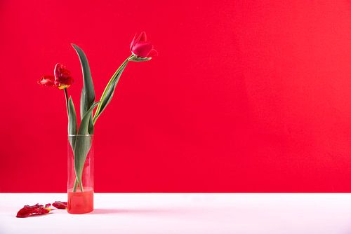 moderne stilleven rood