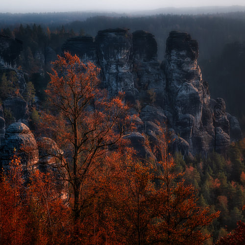 Sächsische Schweiz