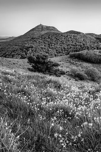 Auvergne landschap in zwart-wit