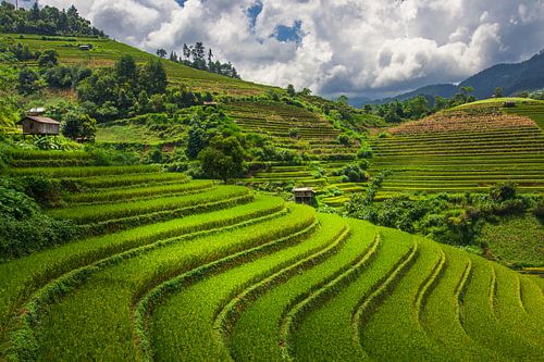 De adembenemende rijstvelden van Mu Cang Chai, Vietnam