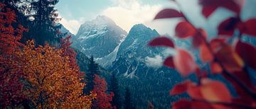 Bergen in herfstlicht - natuurbeeld van Poster Art Shop