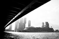 Rotterdam Oasis