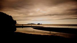 Plage de Cooya dans le Queensland