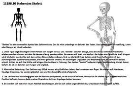 Squelette debout 11198.10