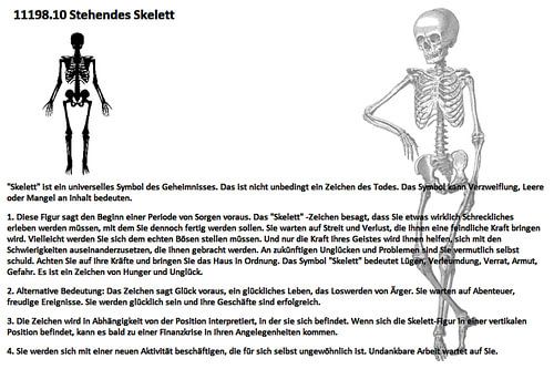 staand skelet 11198.10