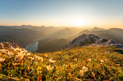 bloemrijk uitzicht op de Tannheim & Allgäuer Alpen bij zonsondergang