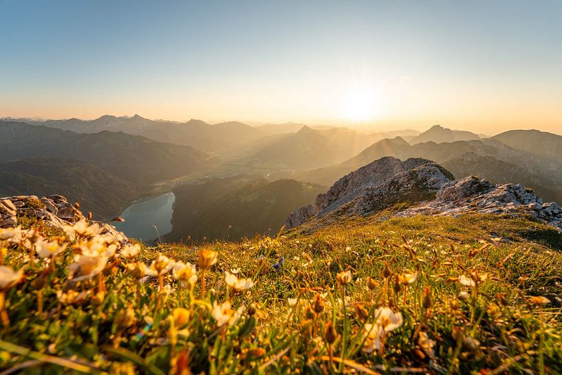 bloemrijk uitzicht op de Tannheim &amp; Allgäuer Alpen bij zonsondergang van Leo Schindzielorz
