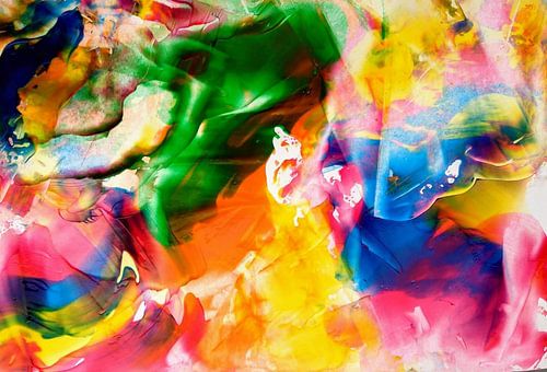 Une vie animale colorée