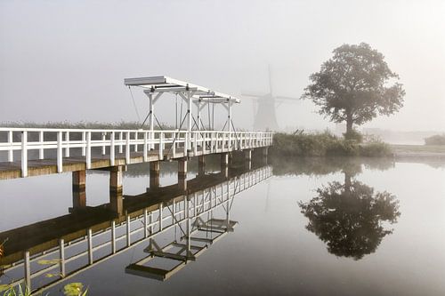 Mist in Kinderdijk