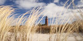 Leuchtturm Darßer Ort von Jörg Hausmann