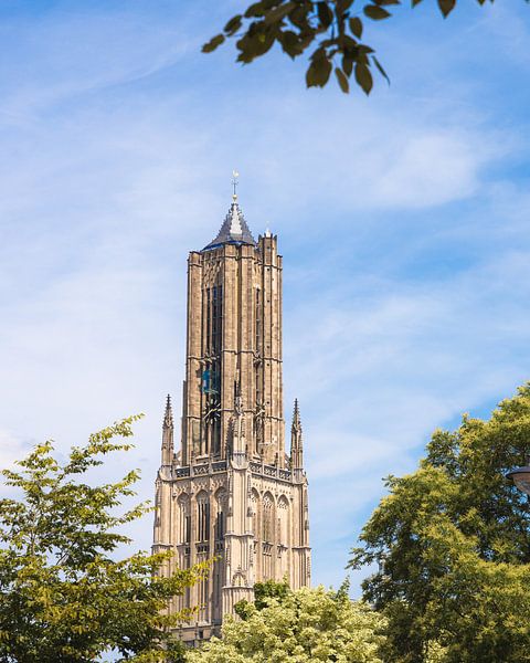 L'église Eusebius d'Arnhem dans la verdure par Nicky Kapel