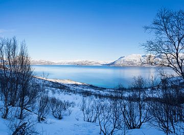 Zicht op het fjord in de Atlantische Oceaan met een sneeuw veld, bomen en bergen bij Tromso Noorwege van Leoniek van der Vliet
