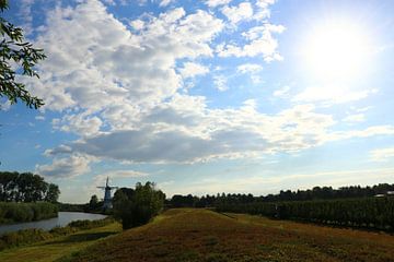 Molenzicht van t de bruin