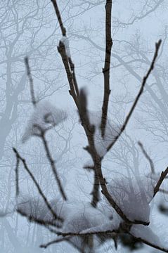 Abstracte fotografie | Minimalisme | Winterlandschap V