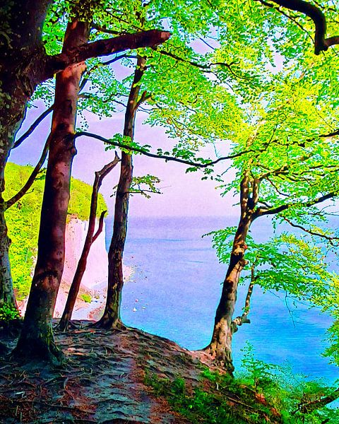 Jasmund National Park, Motif 2 by zam art