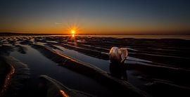 Schelp in zonsondergang by Linda Raaphorst