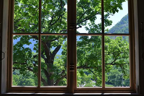 uitzicht uit het raam