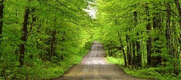 Une route de campagne en été sur Claude Laprise
