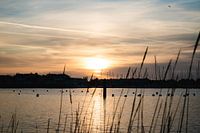 Natural painting