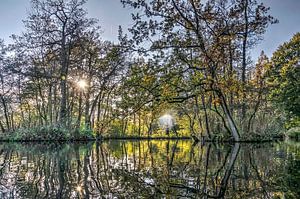 Herbst in Woerden