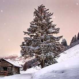 Verdwaalde sneeuwvlokken van Christa Thieme-Krus