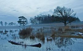 Wasser von Anne Koop