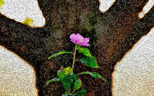 Beauty Under Threat