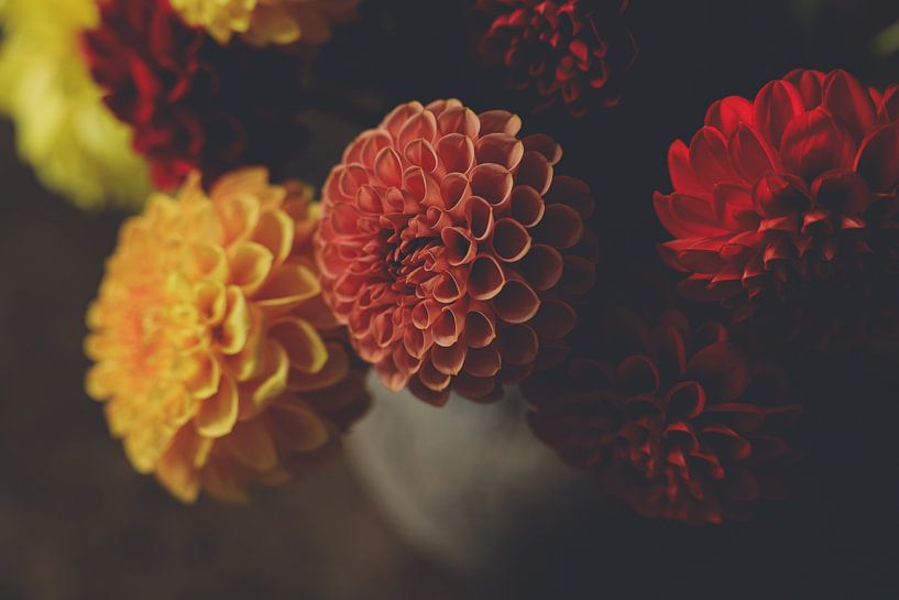 Autumn in Bloom by Lieske Alblas Fotografie