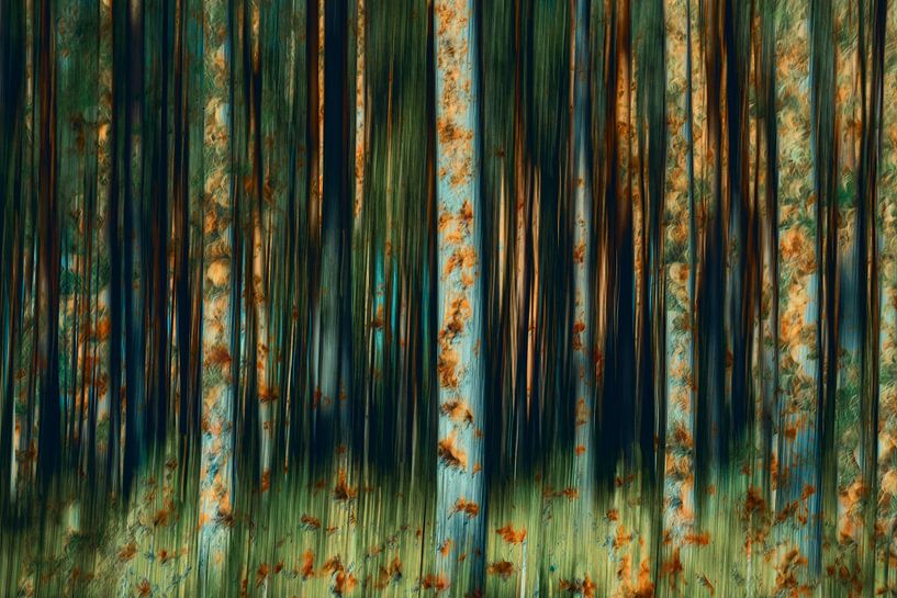 Fantasy forest by Yanuschka | Fotografie Noordwijk