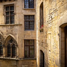 Sarlat, Dordogne, Frankrijk van Karel Ton