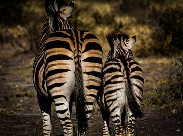 Mother and Child by Ronald Huijben