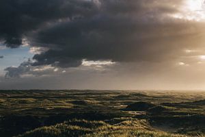 Hollandse Duinen