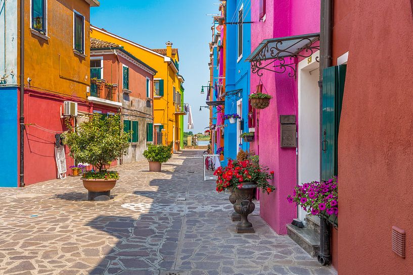 Colorful street by Andy Luberti