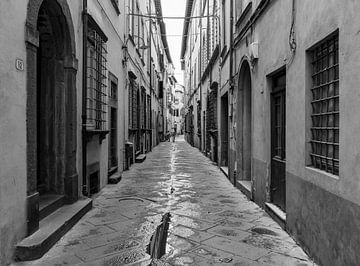 alte schmale Straße in einer italienischen Stadt von Animaflora PicsStock