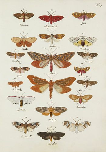 De uitlandsche dag- en nagt-kapellen vol. 3, Caspar Stoll