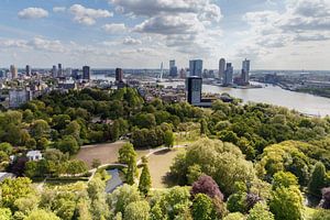 De Erasmusbrug Rotterdam van Menno Schaefer