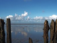 Doorkijkje tussen paaltjes in Moddergat