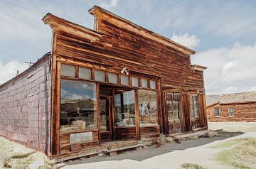 Ghosttown shop by Angelica van den Berg