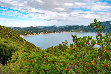 Strand Bucht Agios Georios auf Korfu