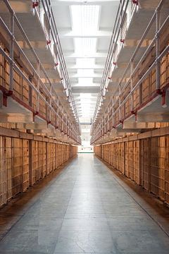 The cells of Alcatraz by swc07