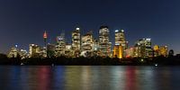 Sydney city night skyline
