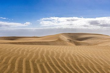 Oneindige duinen van Maspalomas van Mark de Rie