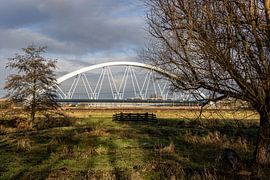Sprinter on railroad bridge by Paul Veen